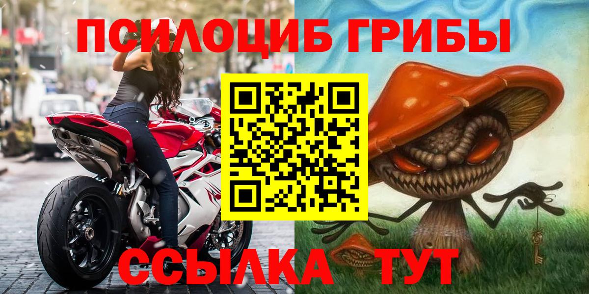 Старая Купавна  Псилоцибиновые грибы Psilocybine cubensis  наркота  Псилоцибиновые грибы мицелий  Вход с VPN 