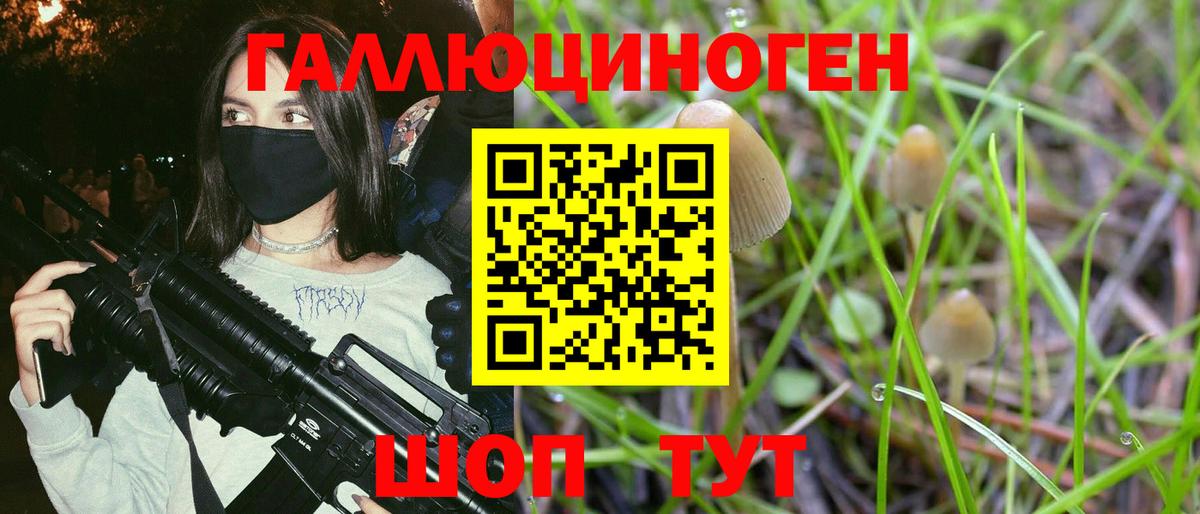 Псилоцибиновые грибы мицелий Старая Купавна